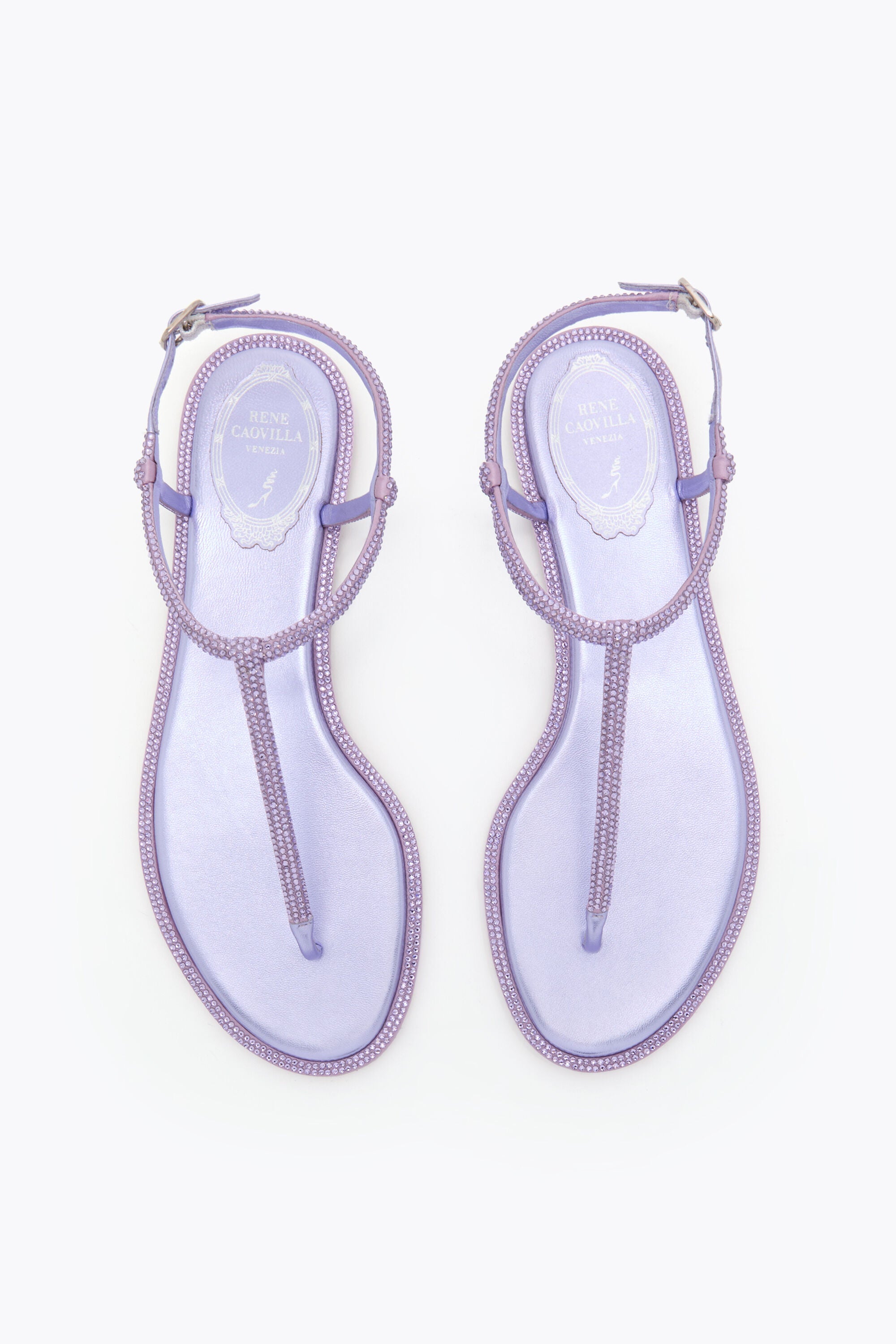 Rene Caovilla Diana Wisteria Sandal with Crystals 10