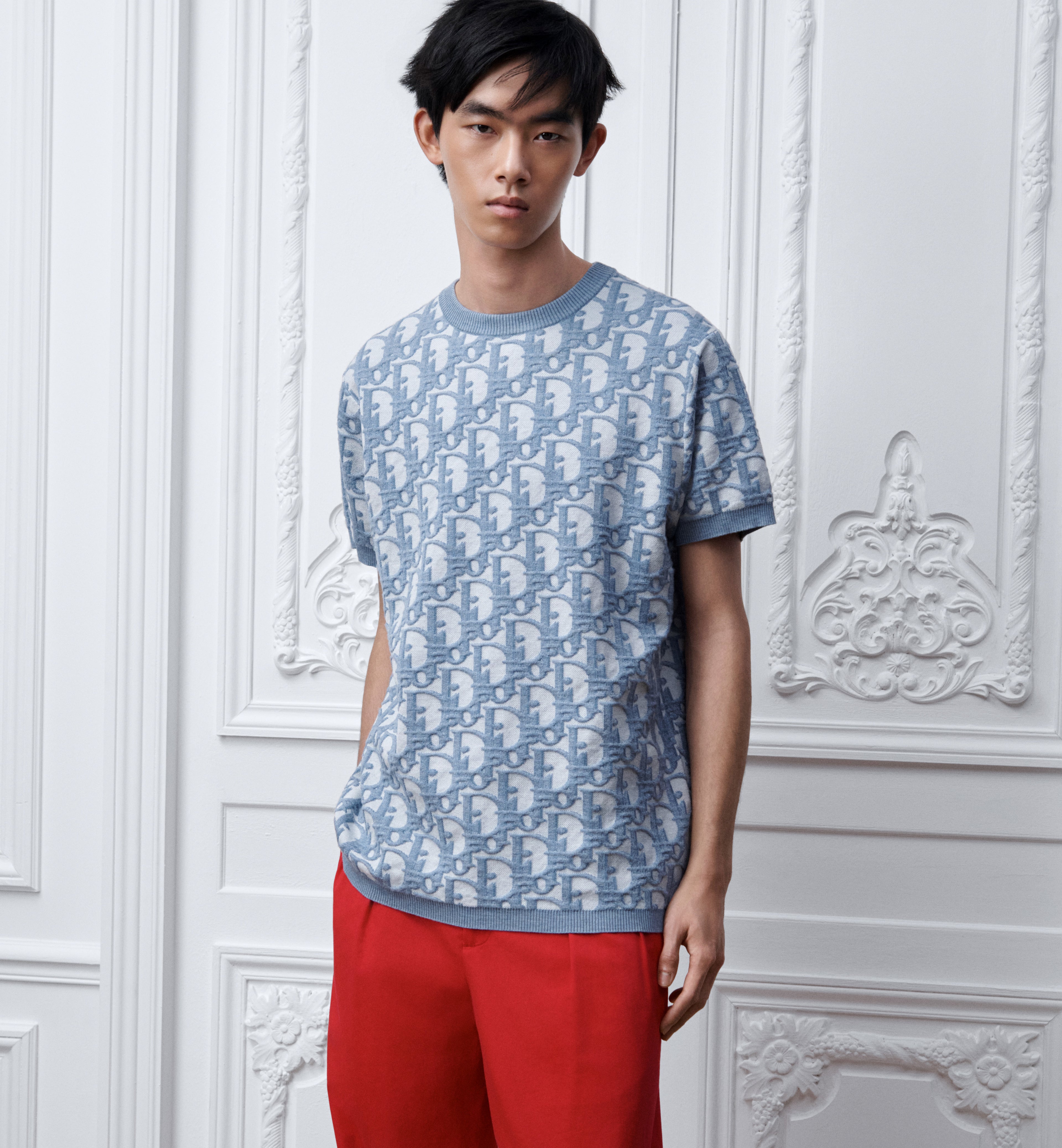 T-Shirt Dior Oblique 3D Regular Fit