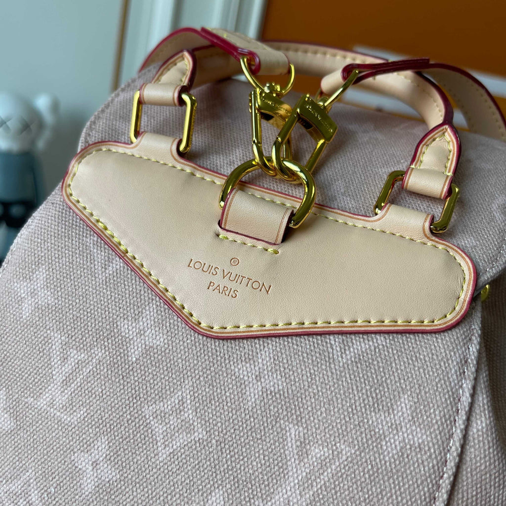 Louis Vuitton handbag with a visible brand logo on a neutral background